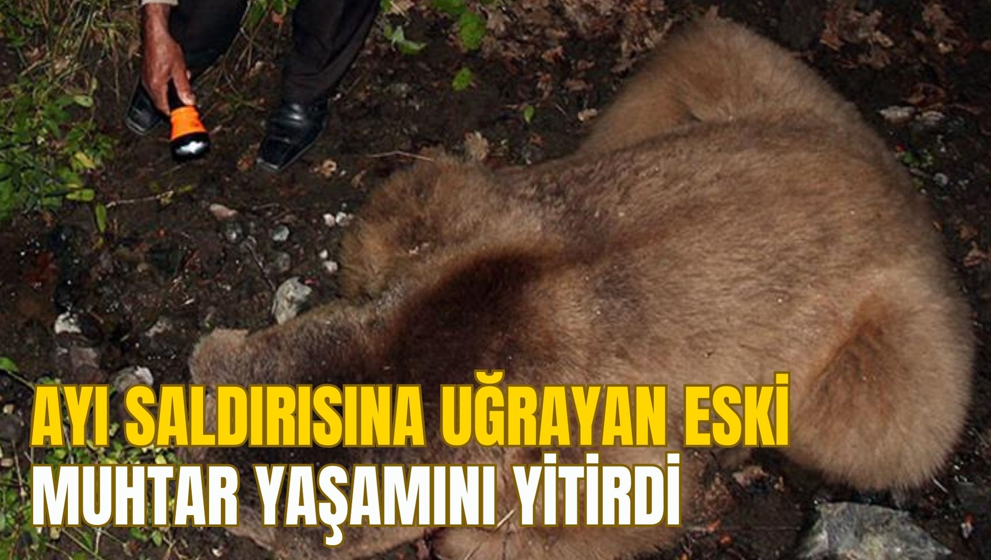 AYI SALDIRISINA UĞRAYAN ESKİ MUHTAR YAŞAMINI YİTİRDİ