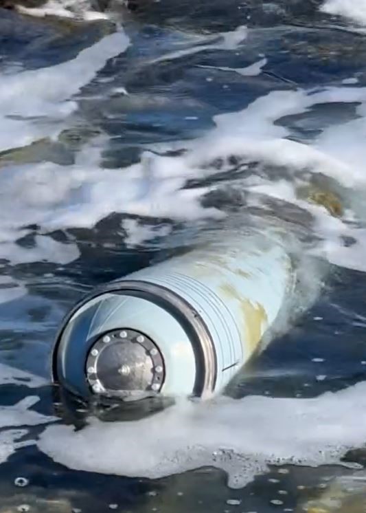 SAHİL KIYISINA VURAN CİSİM ŞOK ETTİ