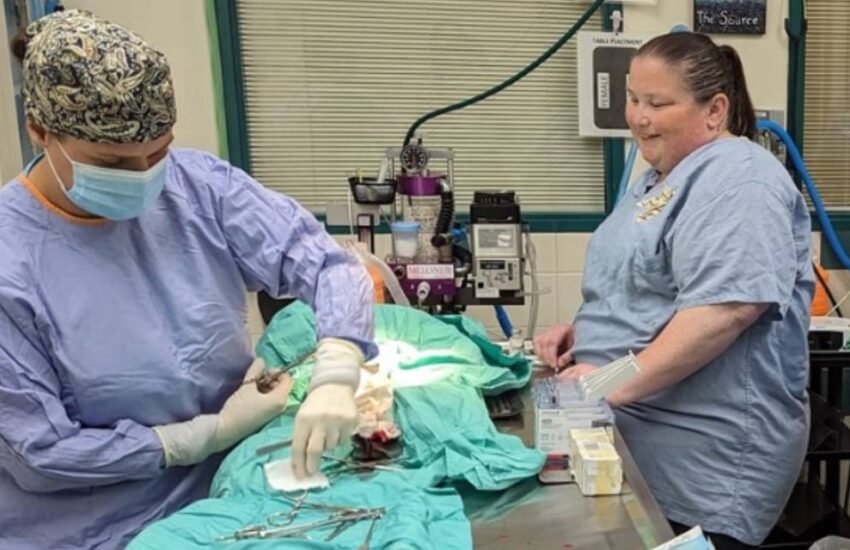 74 yaşında doğum yaptı