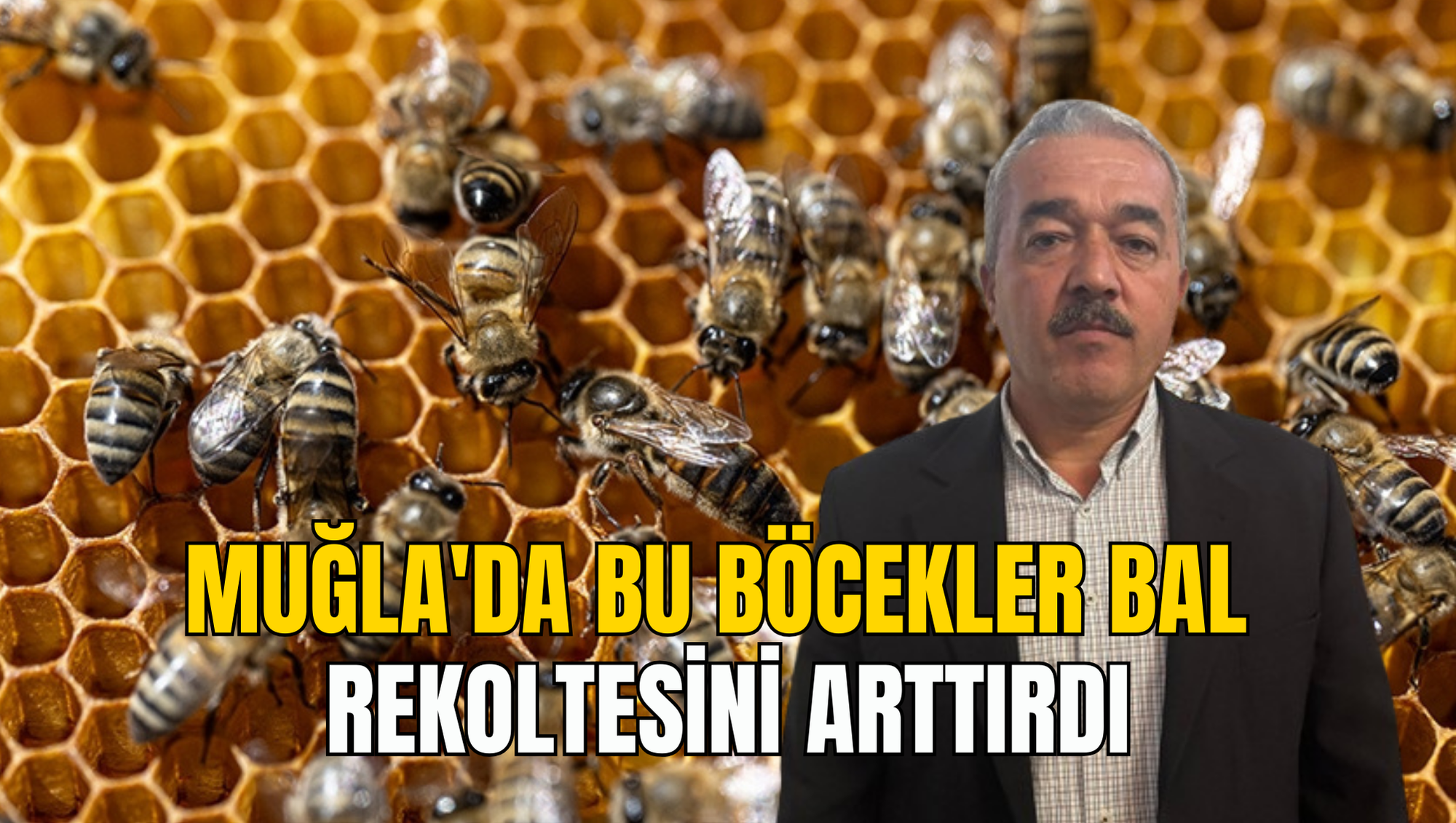 MUĞLA'DA BU BÖCEKLER BAL REKOLTESİNİ ARTTIRDI