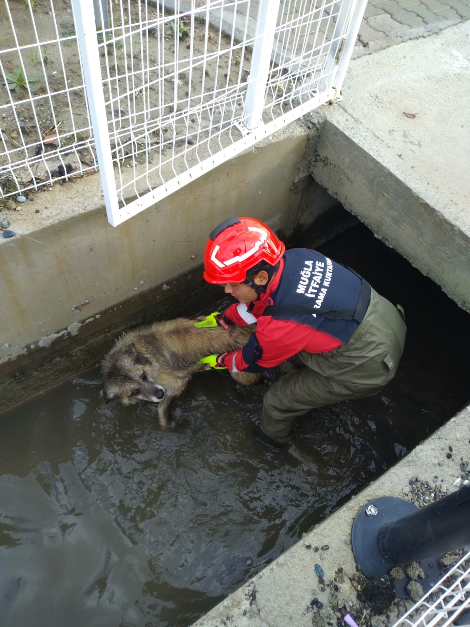 Aras'tan İtfaiye ekiplerine teşekkür paylaşımı