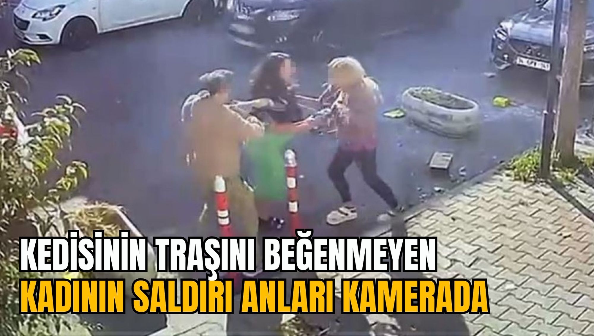 KEDİSİNİN TRAŞINI BEĞENMEYEN KADININ SALDIRI ANLARI KAMERADA