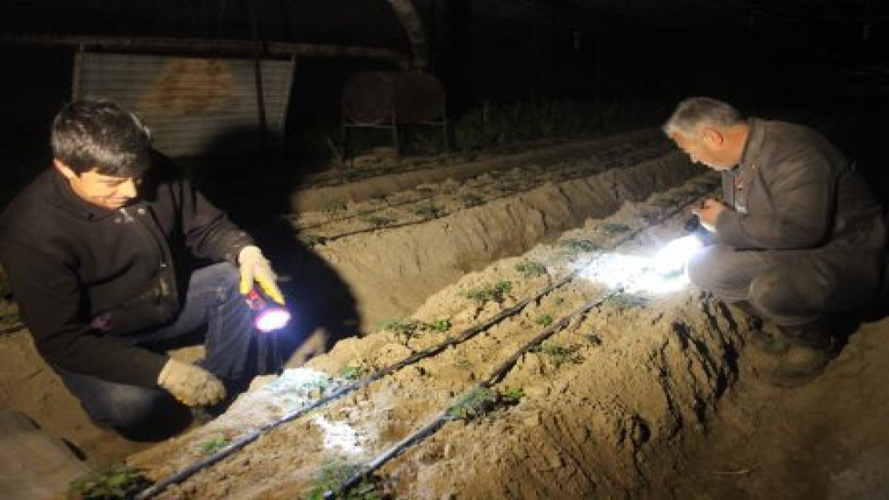 Don alarmı çiftçileri harekete geçirdi