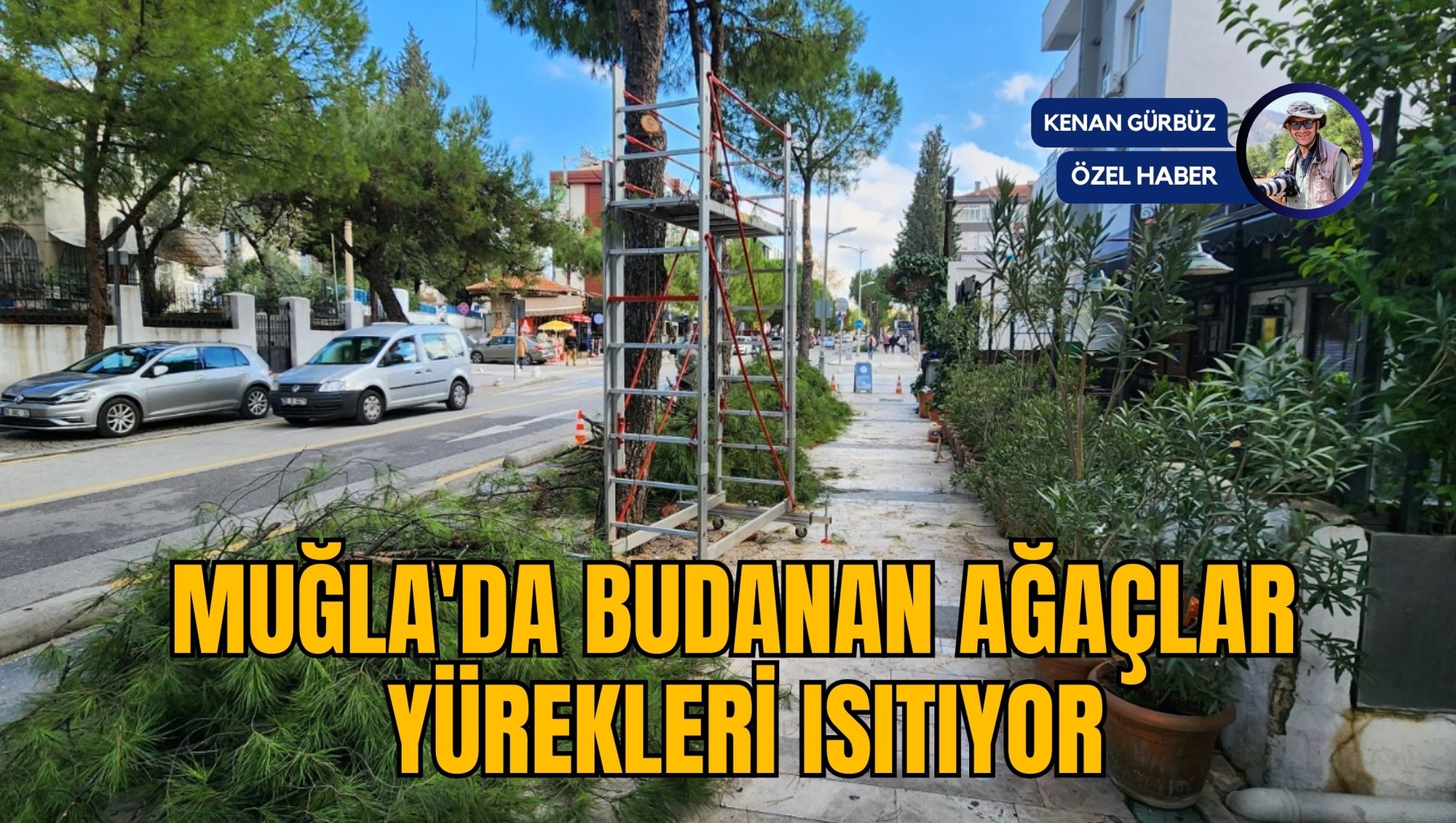 MUĞLA'DA BUDANAN AĞAÇLAR YÜREKLERİ ISITIYOR