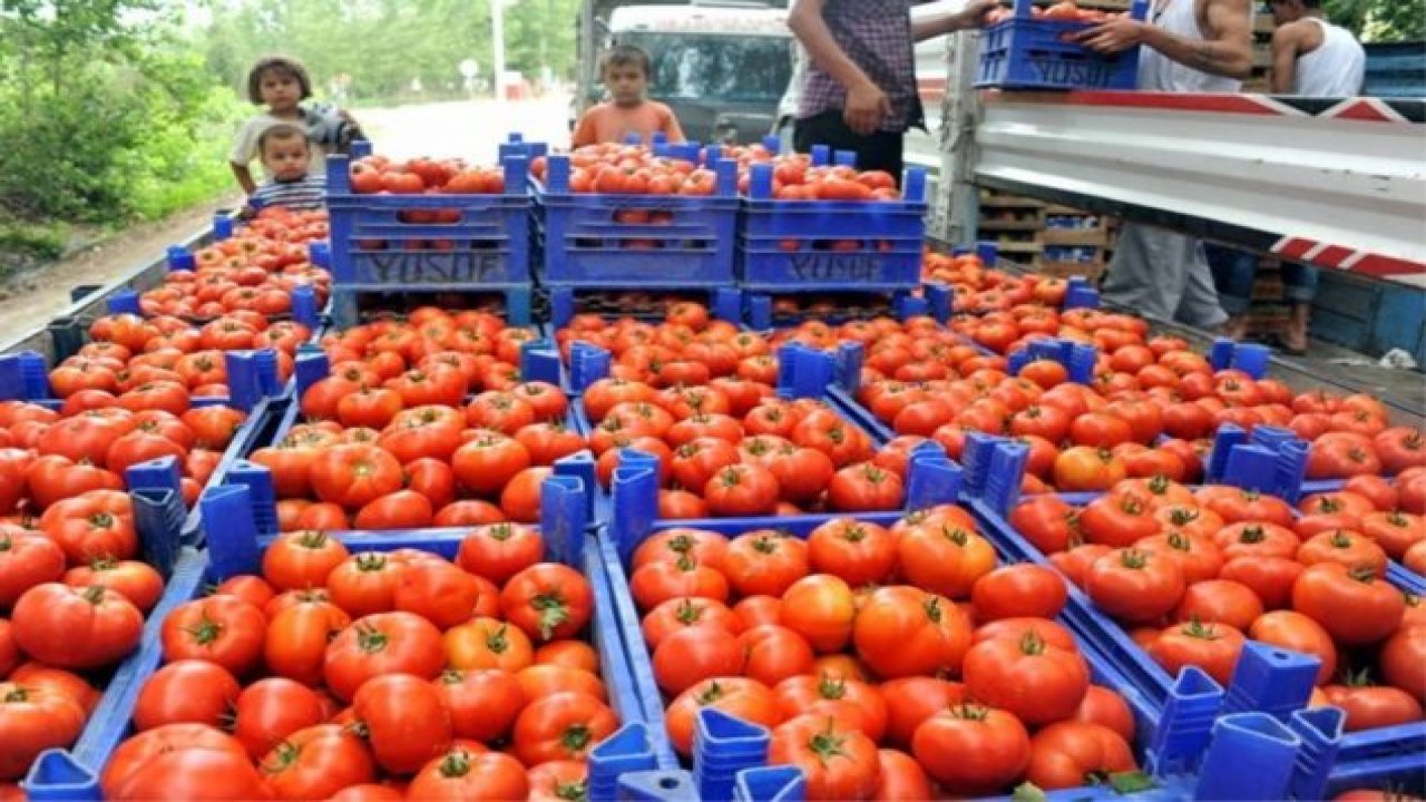 Hedef 2015 Rakamlarını Yakalamak