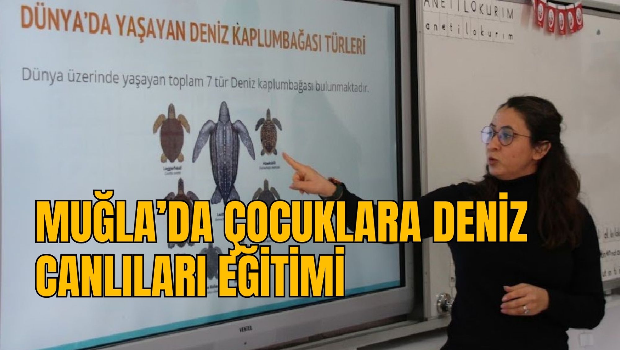 MUĞLA’DA ÇOCUKLARA DENİZ CANLILARI EĞİTİMİ