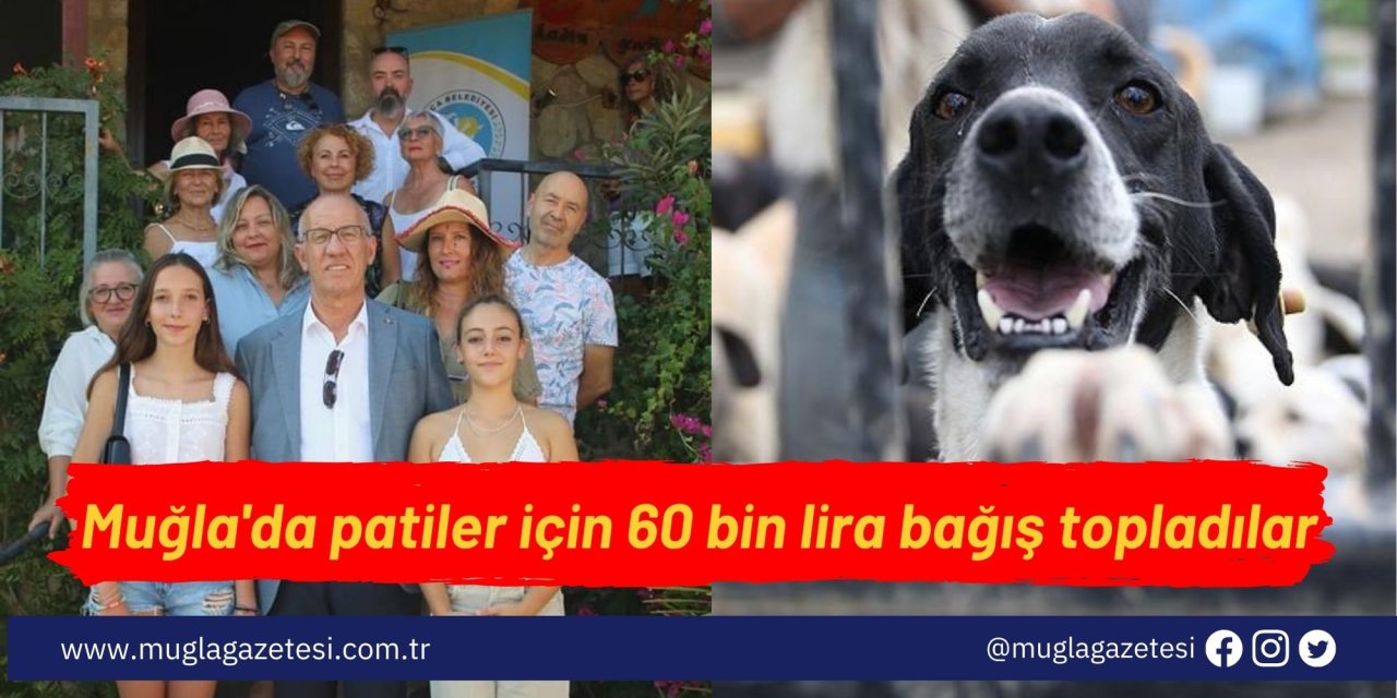 Muğla'da patiler için 60 bin lira bağış topladılar