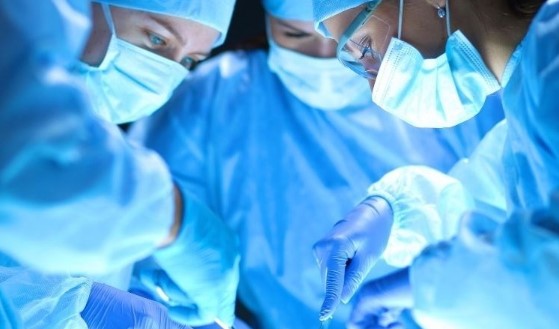 Organ nakliyle hafıza ve anılar da taşınabilir mi?