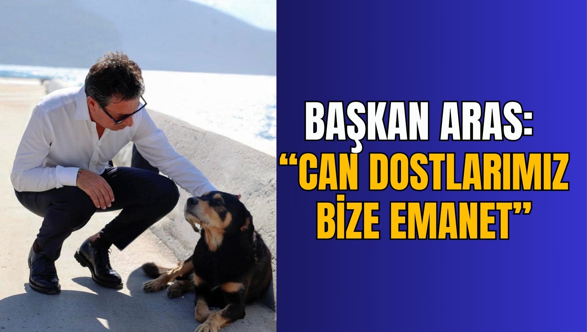 BAŞKAN ARAS: ‘’CAN DOSTLARIMIZ BİZE EMANET’’