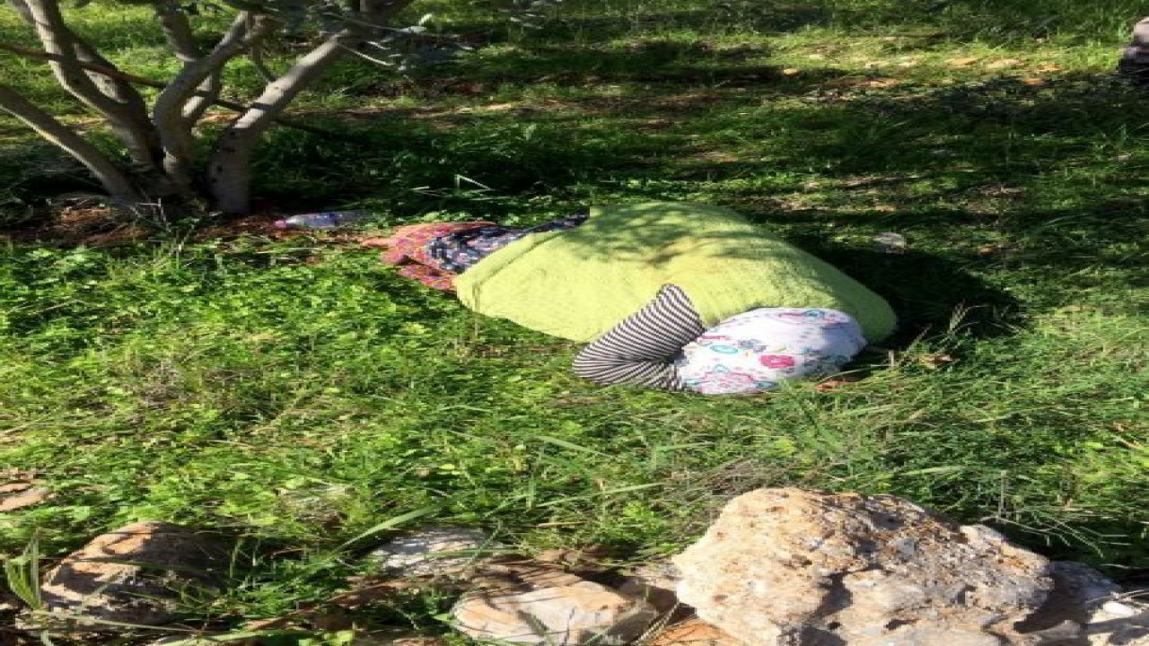 Alzheimer hastası kadın zeytin bahçesinde uyurken bulundu