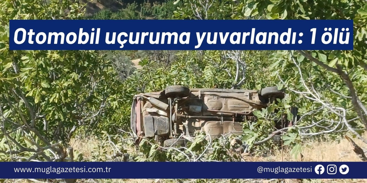 Otomobil uçuruma yuvarlandı: 1 ölü