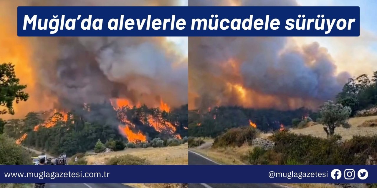 Muğla’da alevlerle mücadele sürüyor