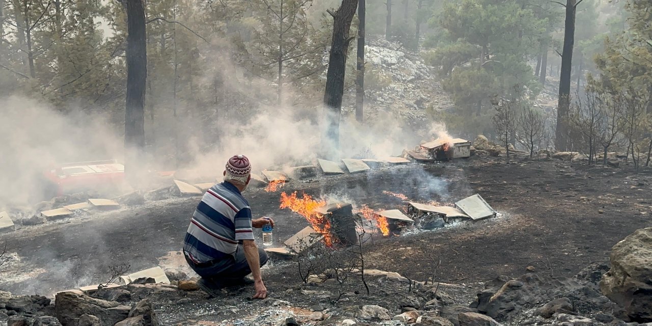 Muğla’dan acı görüntüler: Alevler emekleri yok etti