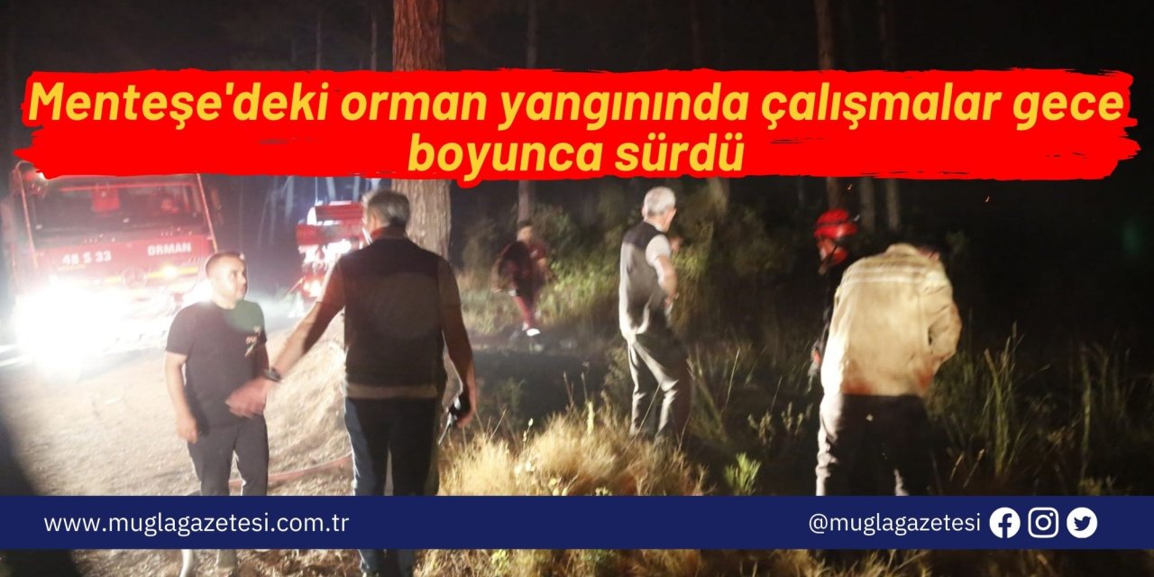 Menteşe'deki orman yangınında çalışmalar gece boyunca sürdü