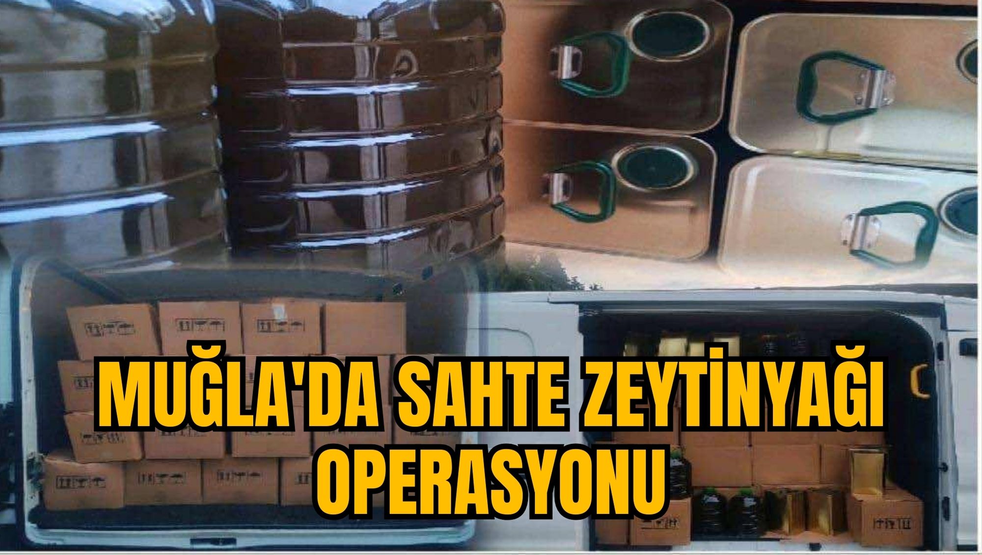 MUĞLA'DA SAHTE ZEYTİNYAĞI OPERASYONU