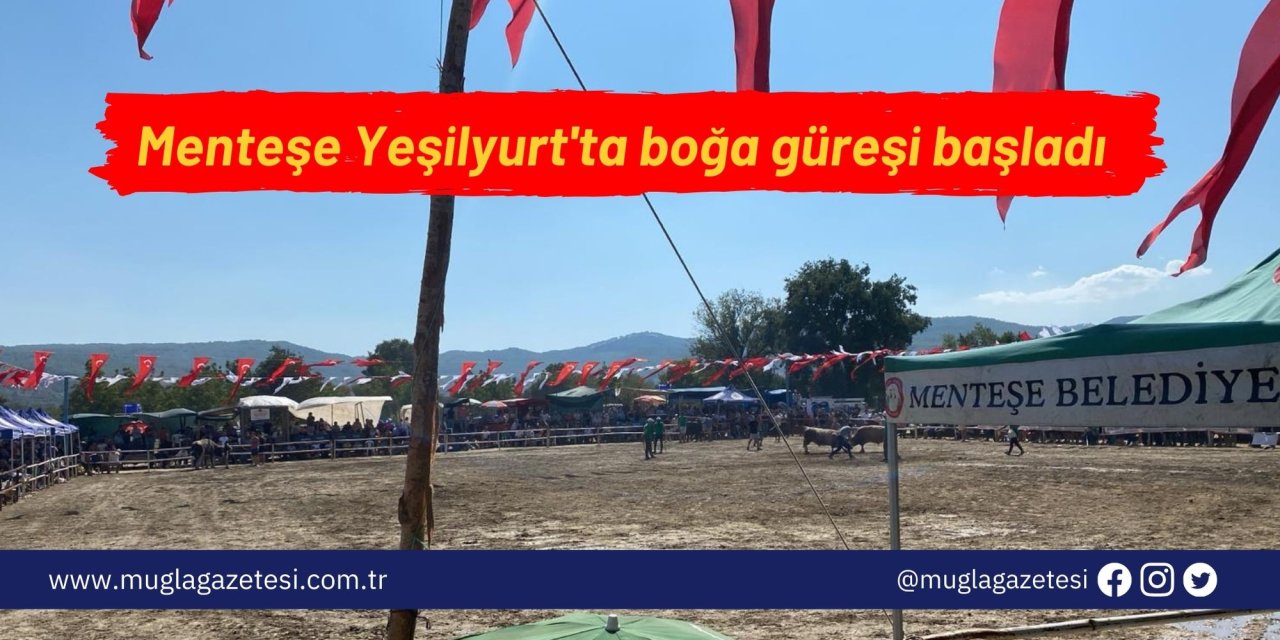 Menteşe Yeşilyurt'ta boğa güreşi başladı