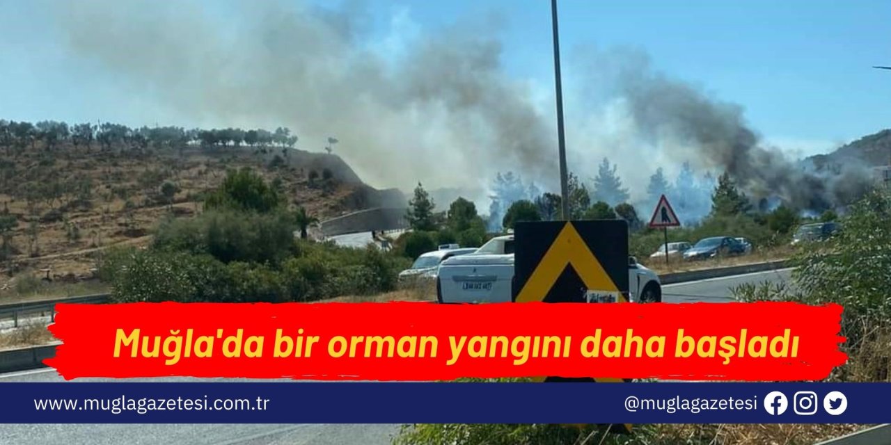 Muğla'da bir orman yangını daha başladı