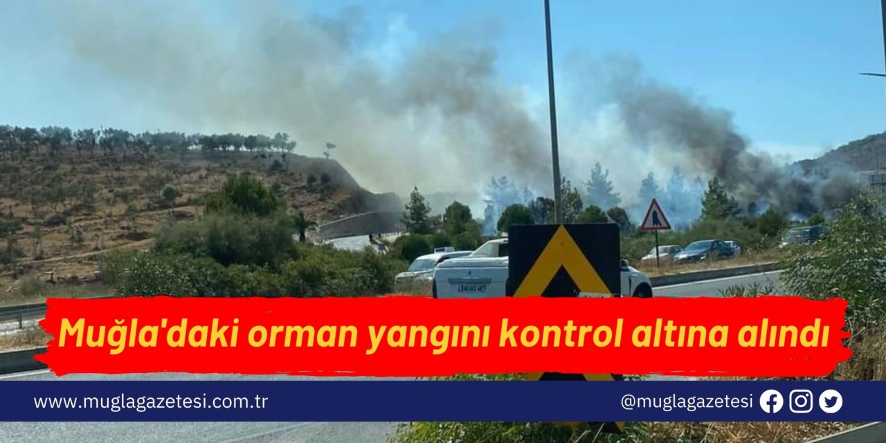 Muğla'daki orman yangını kontrol altına alındı