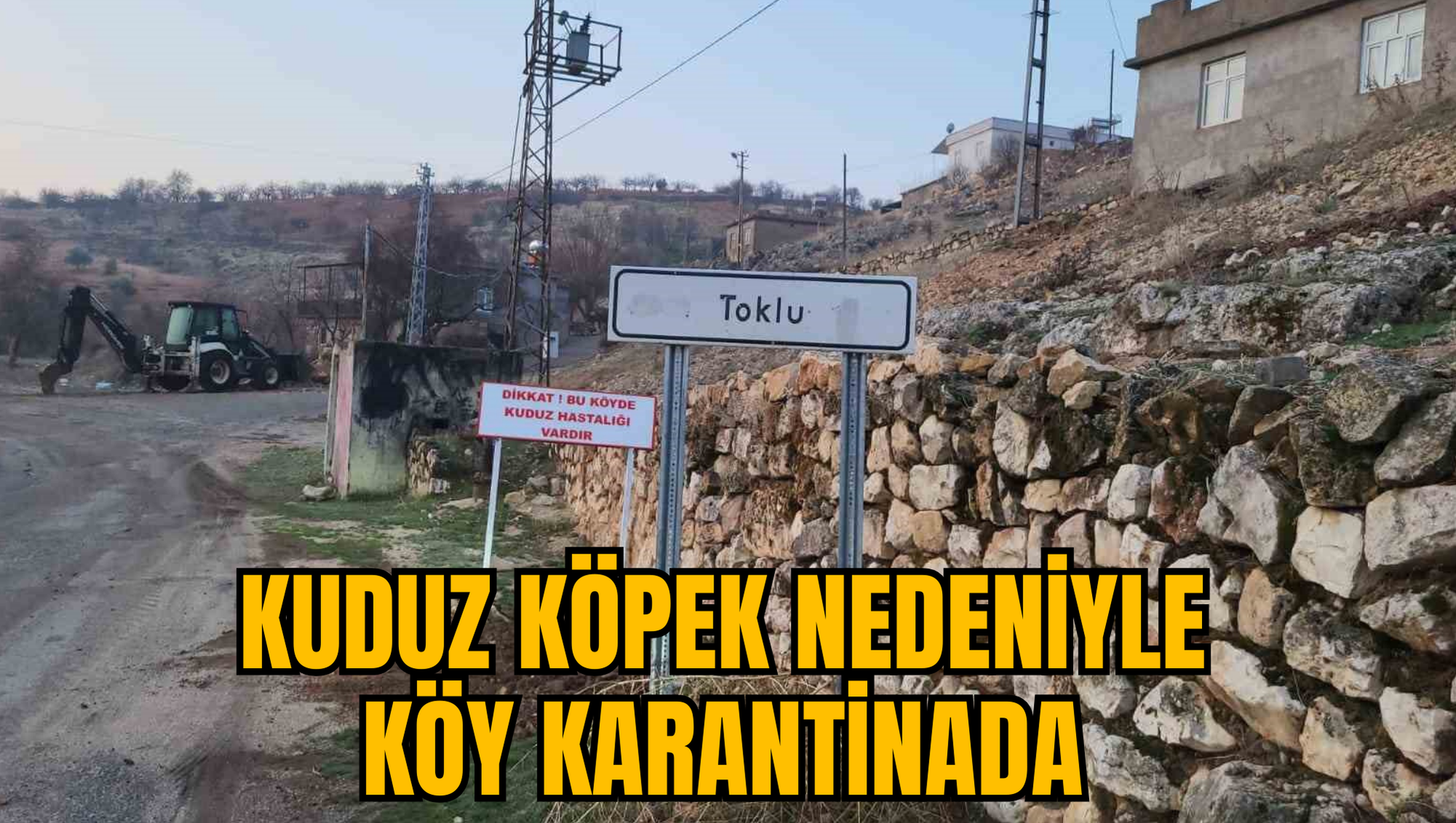 KUDUZ KÖPEK NEDENİYLE KÖY KARANTİNADA