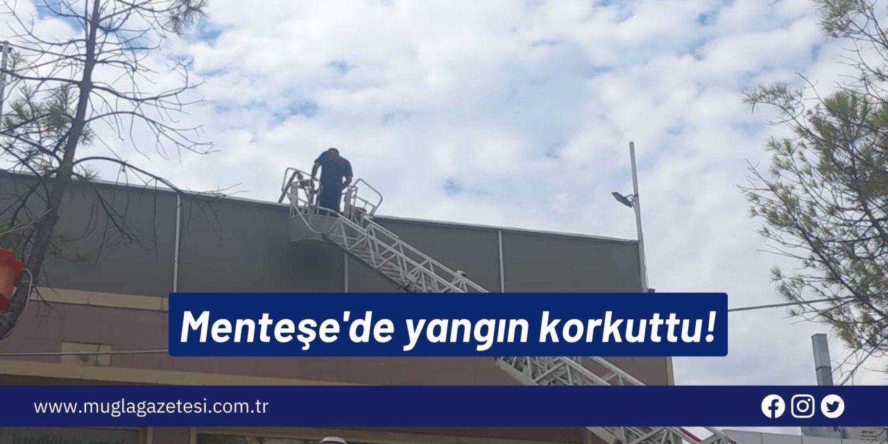 Menteşe'de yangın korkuttu!