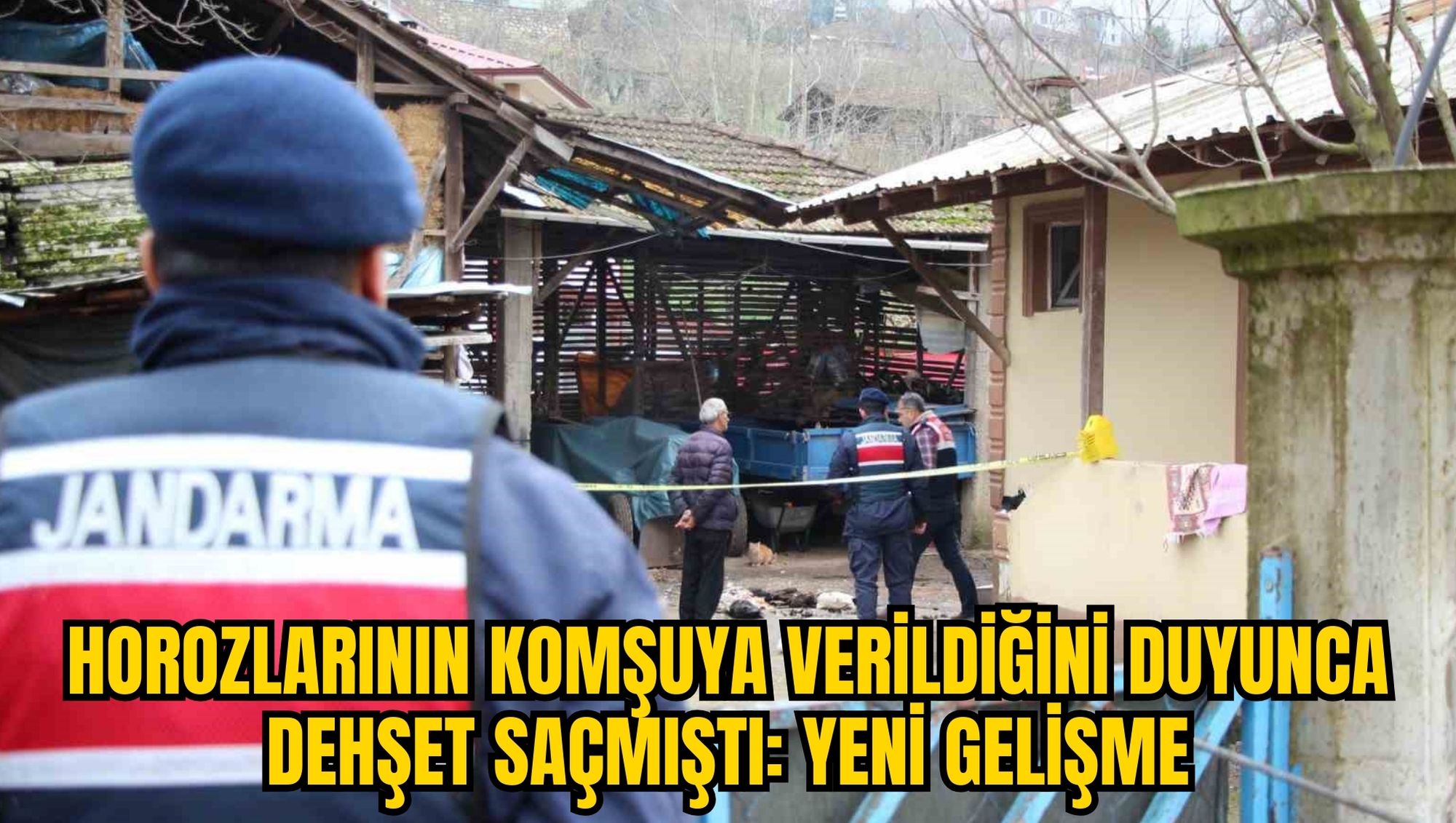 HOROZLARININ KOMŞUYA VERİLDİĞİNİ DUYUNCA DEHŞET SAÇMIŞTI: YENİ GELİŞME