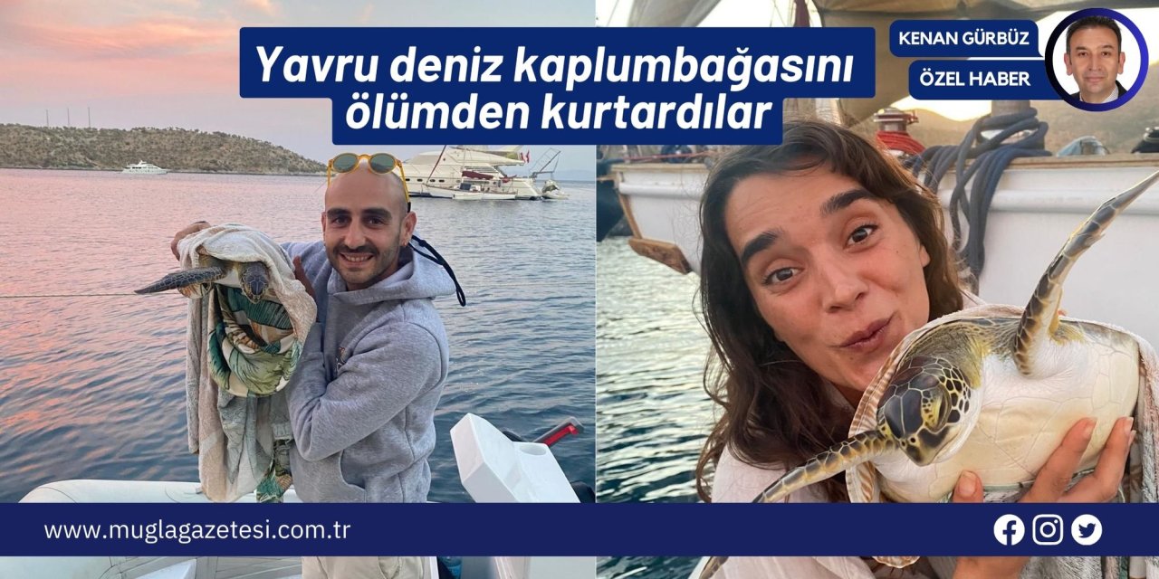 Yavru deniz kaplumbağasını ölümden kurtardılar