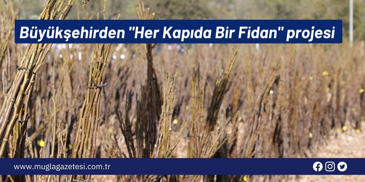 Büyükşehirden "Her Kapıda Bir Fidan" projesi