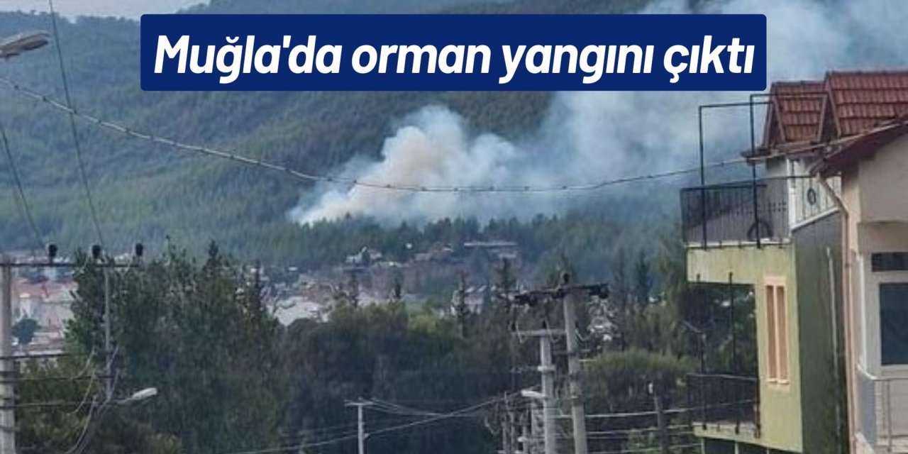 Muğla'da orman yangını çıktı