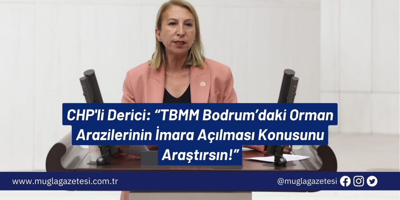 CHP'li Derici: “TBMM Bodrum’daki Orman Arazilerinin İmara Açılması Konusunu Araştırsın!”