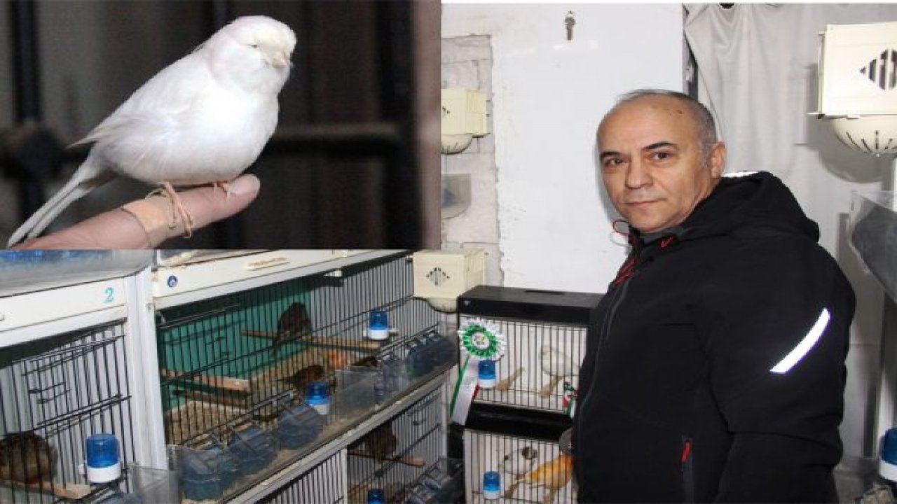 Türkiye’nin gururu oldu