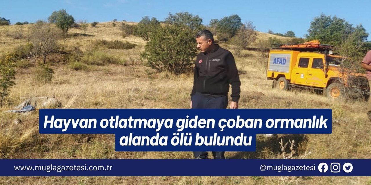 Hayvan otlatmaya giden çoban ormanlık alanda ölü bulundu