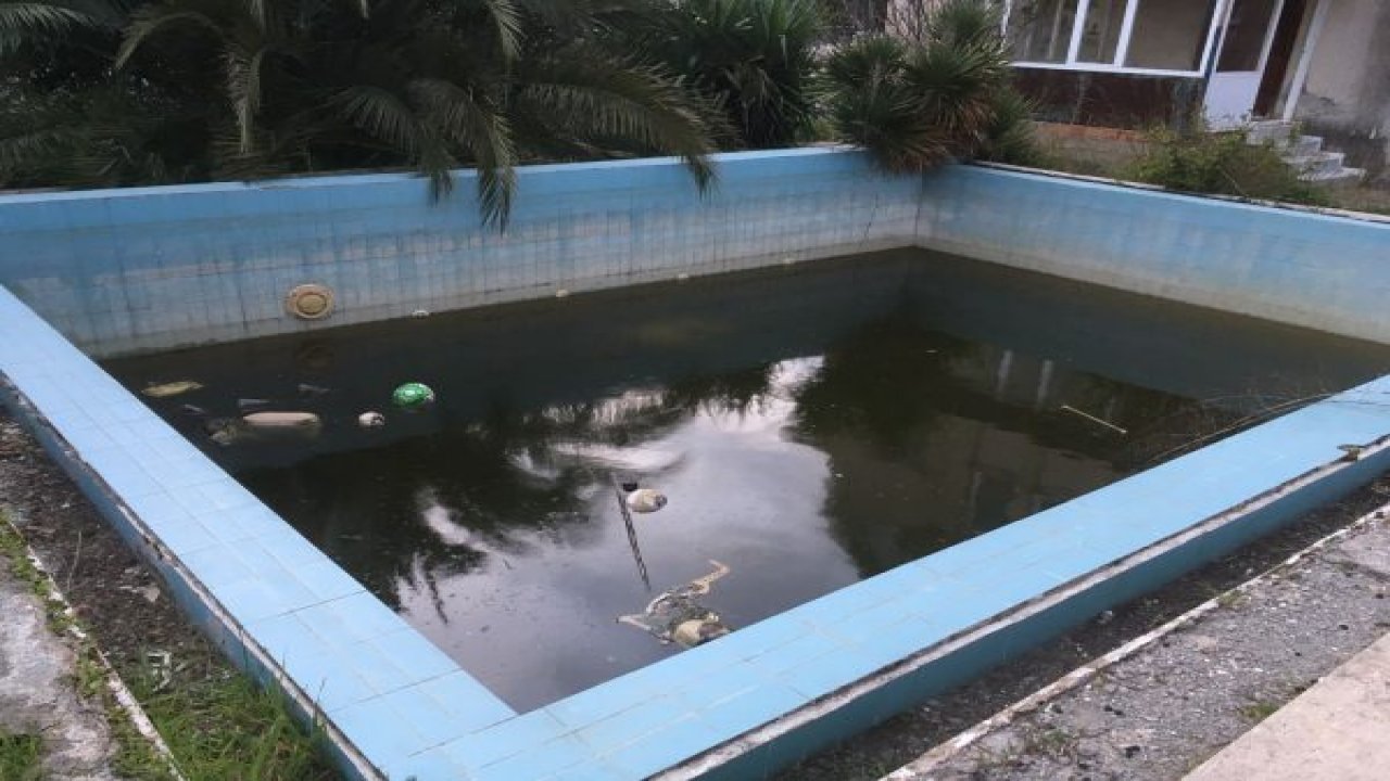 Villanın havuzuna düşen 2 kedi öldü