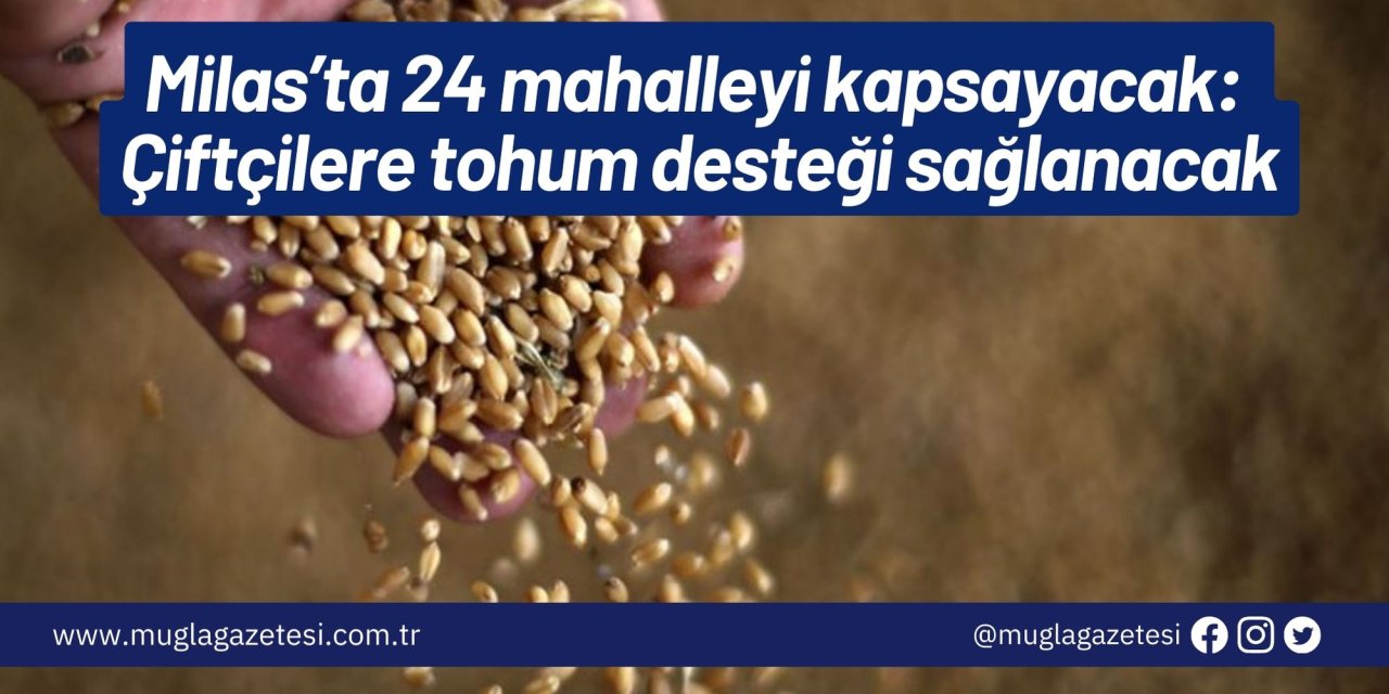 Milas’ta 24 mahalleyi kapsayacak: Çiftçilere tohum desteği sağlanacak