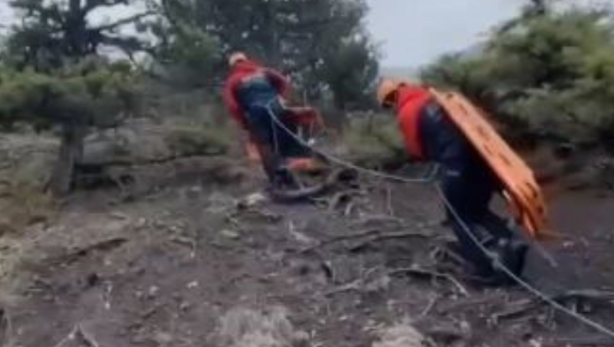 Av Rehberi Av Sırasında Yaşamını Yitirdi