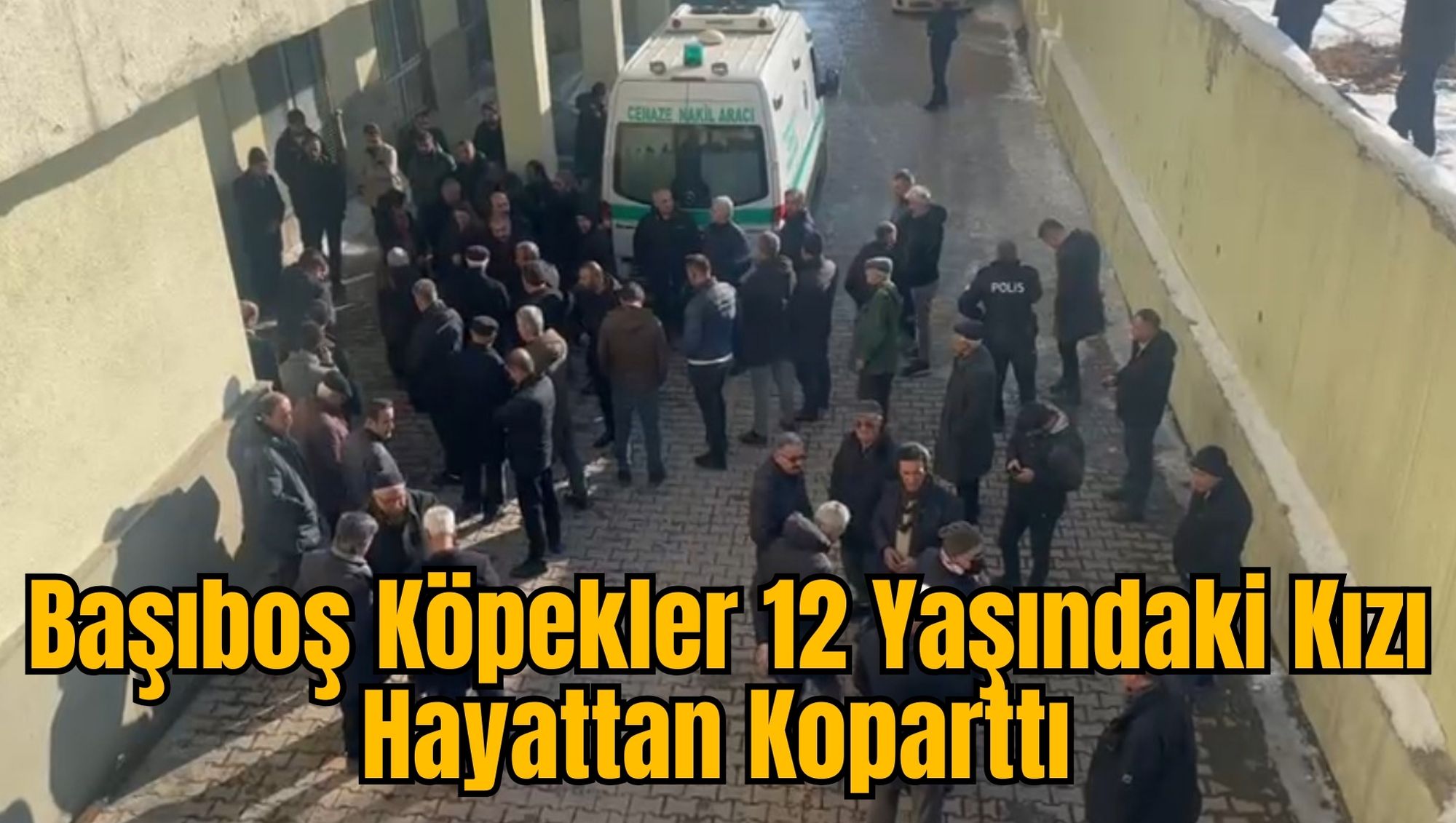 Başıboş Köpekler 12 Yaşındaki Kızı Hayattan Koparttı