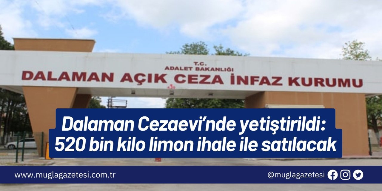 Dalaman Cezaevi’nde yetiştirildi: 520 bin kilo limon ihale ile satılacak