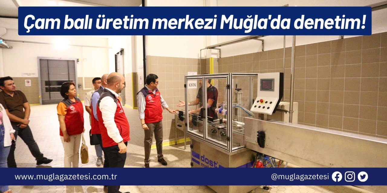 Çam balı üretim merkezi Muğla'da denetim!