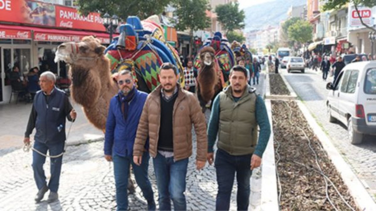 Develer görücüye çıktı