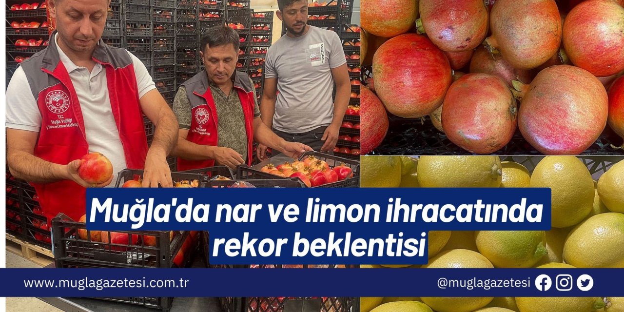 Muğla'da nar ve limon ihracatında rekor beklentisi