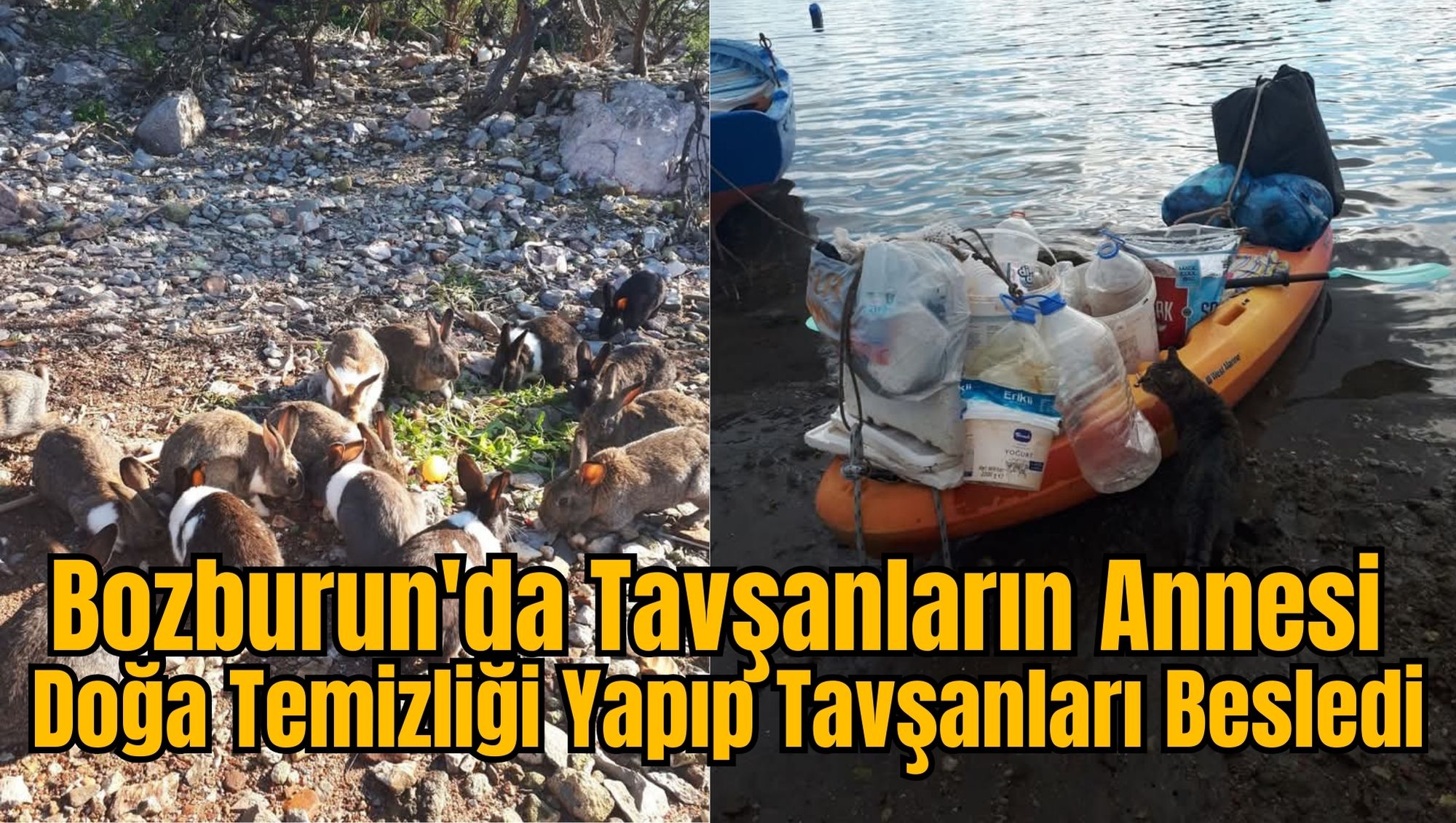 Bozburun'da Tavşanların Annesi Doğa Temizliği Yapıp Tavşanları Besledi
