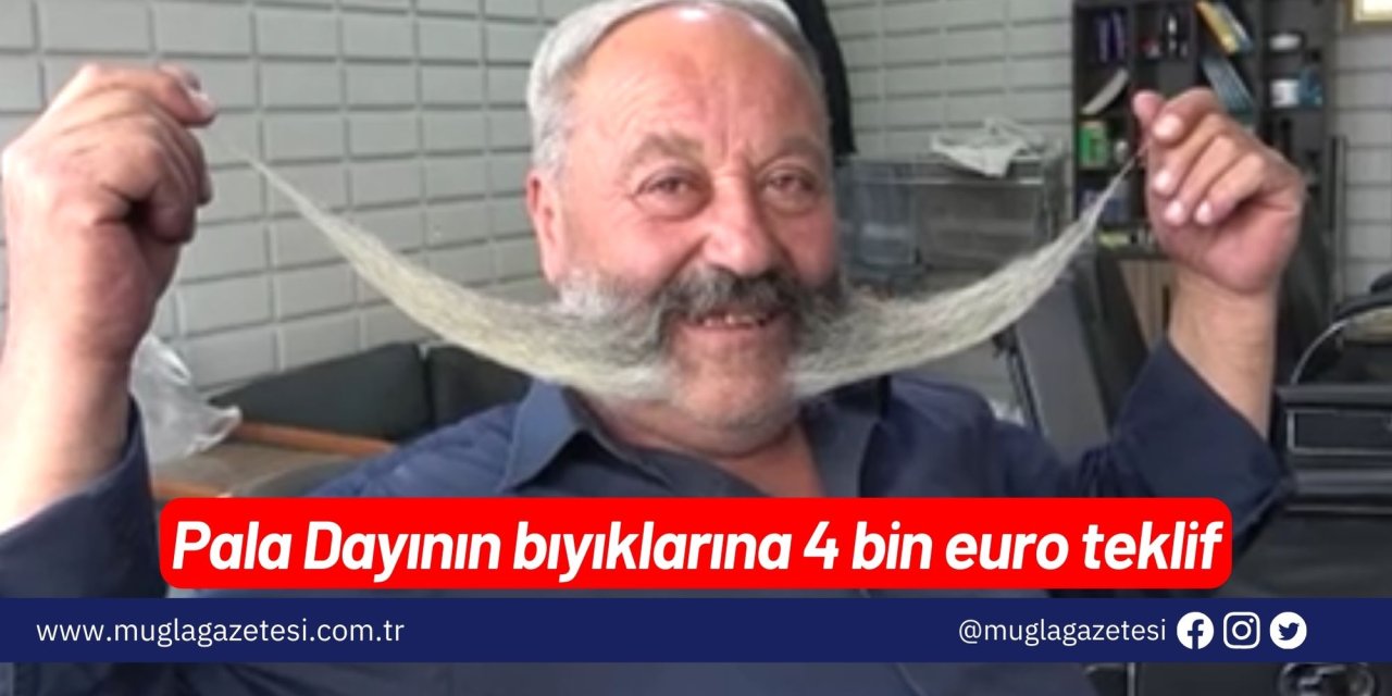 Pala Dayının bıyıklarına 4 bin euro teklif