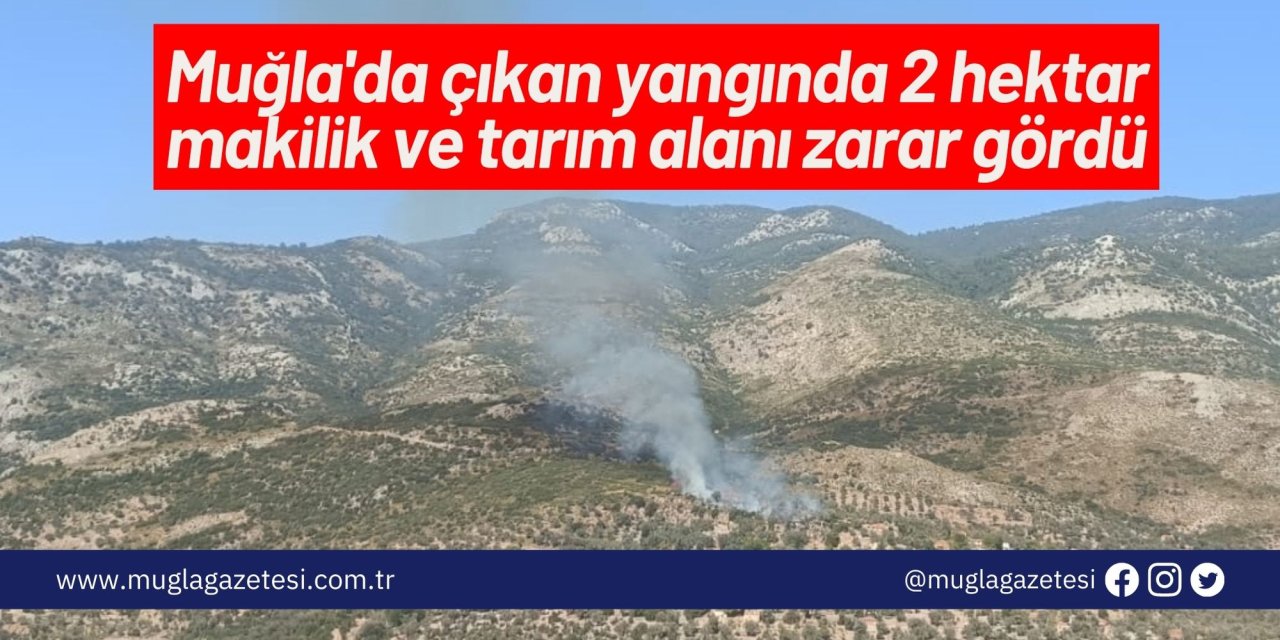 Muğla'da çıkan yangında 2 hektar makilik ve tarım alanı zarar gördü