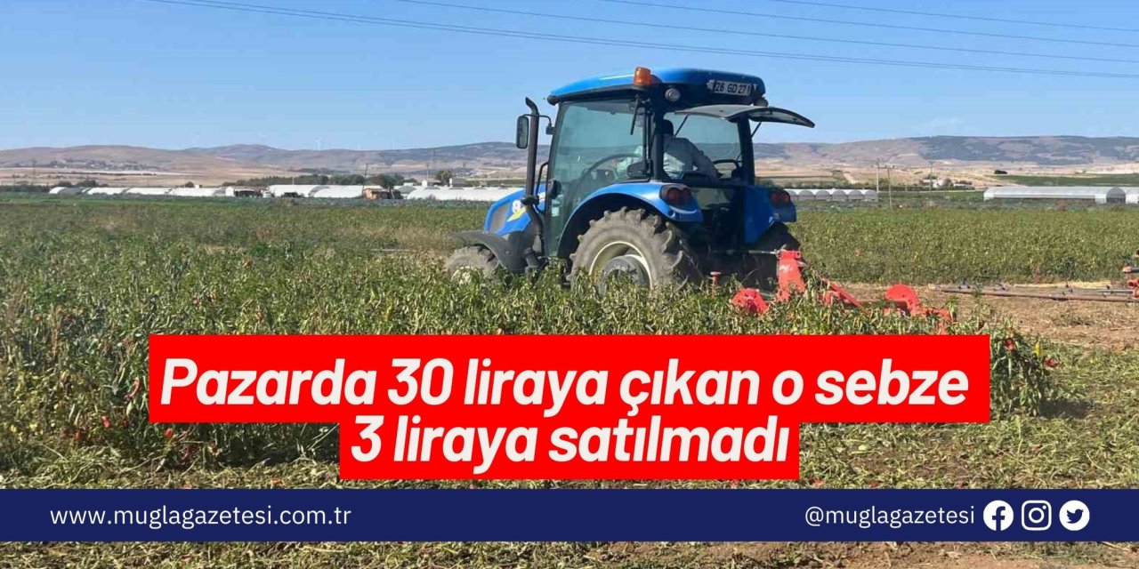 Pazarda 30 liraya çıkan o sebze 3 liraya satılmadı