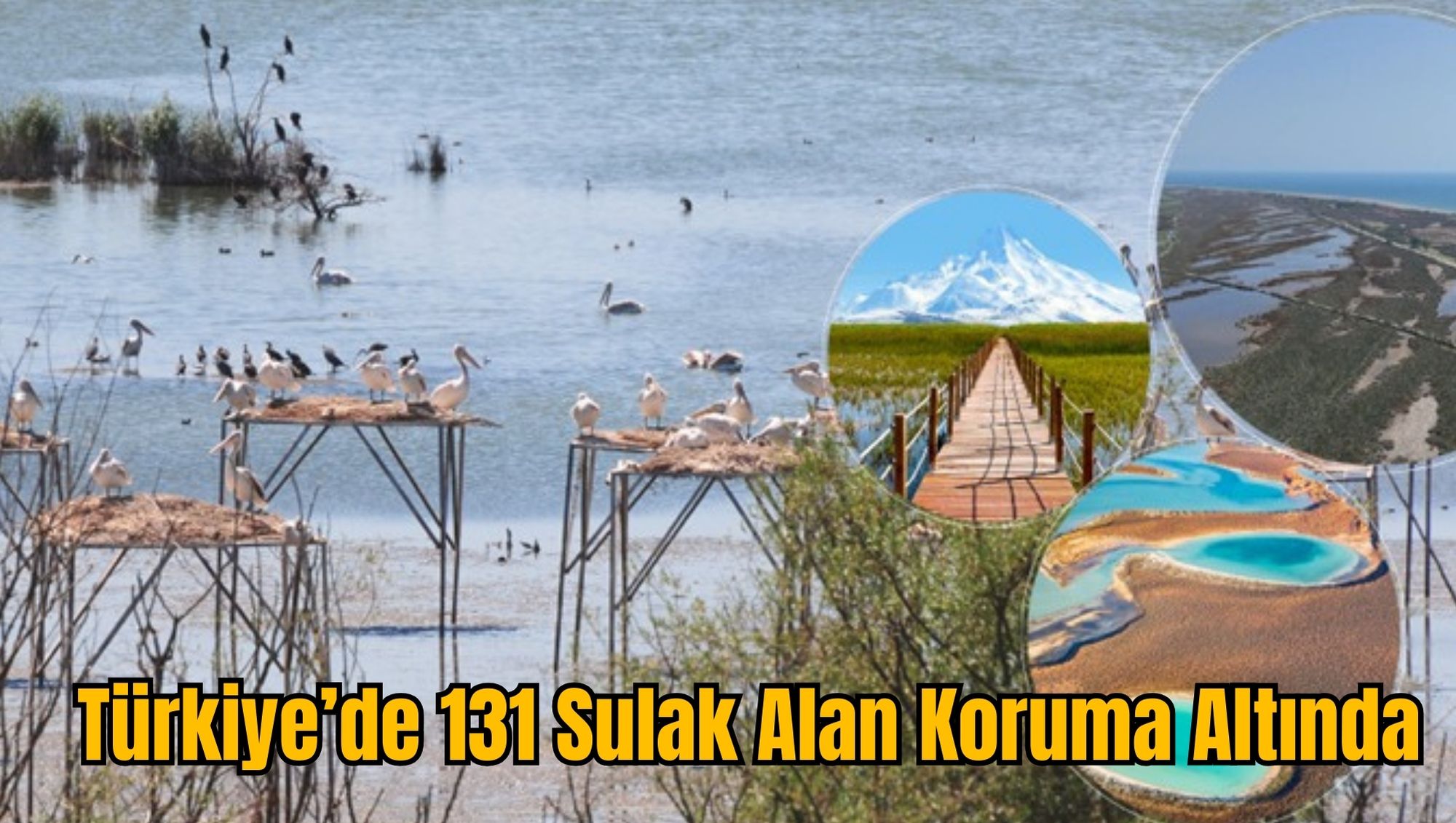 Türkiye’de 131 Sulak Alan Koruma Altında