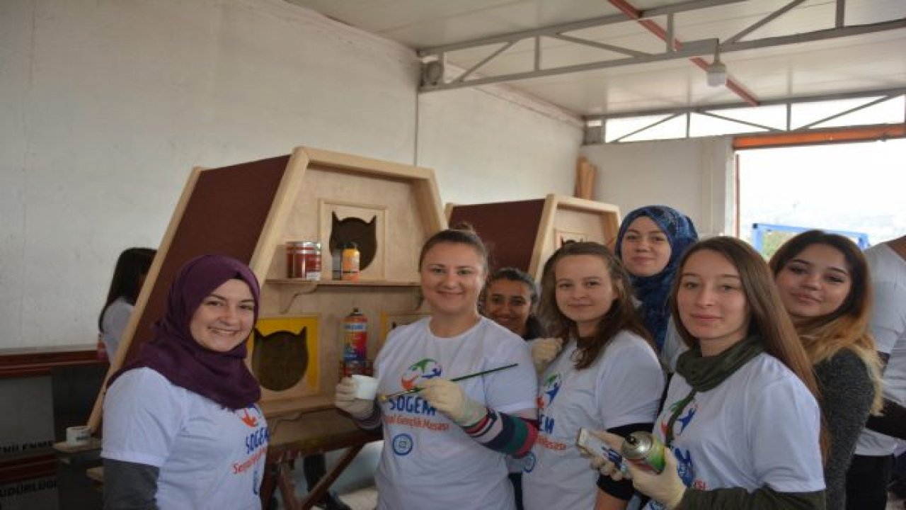 Gençlerden Sokaktaki Dostlara Yeni Evler