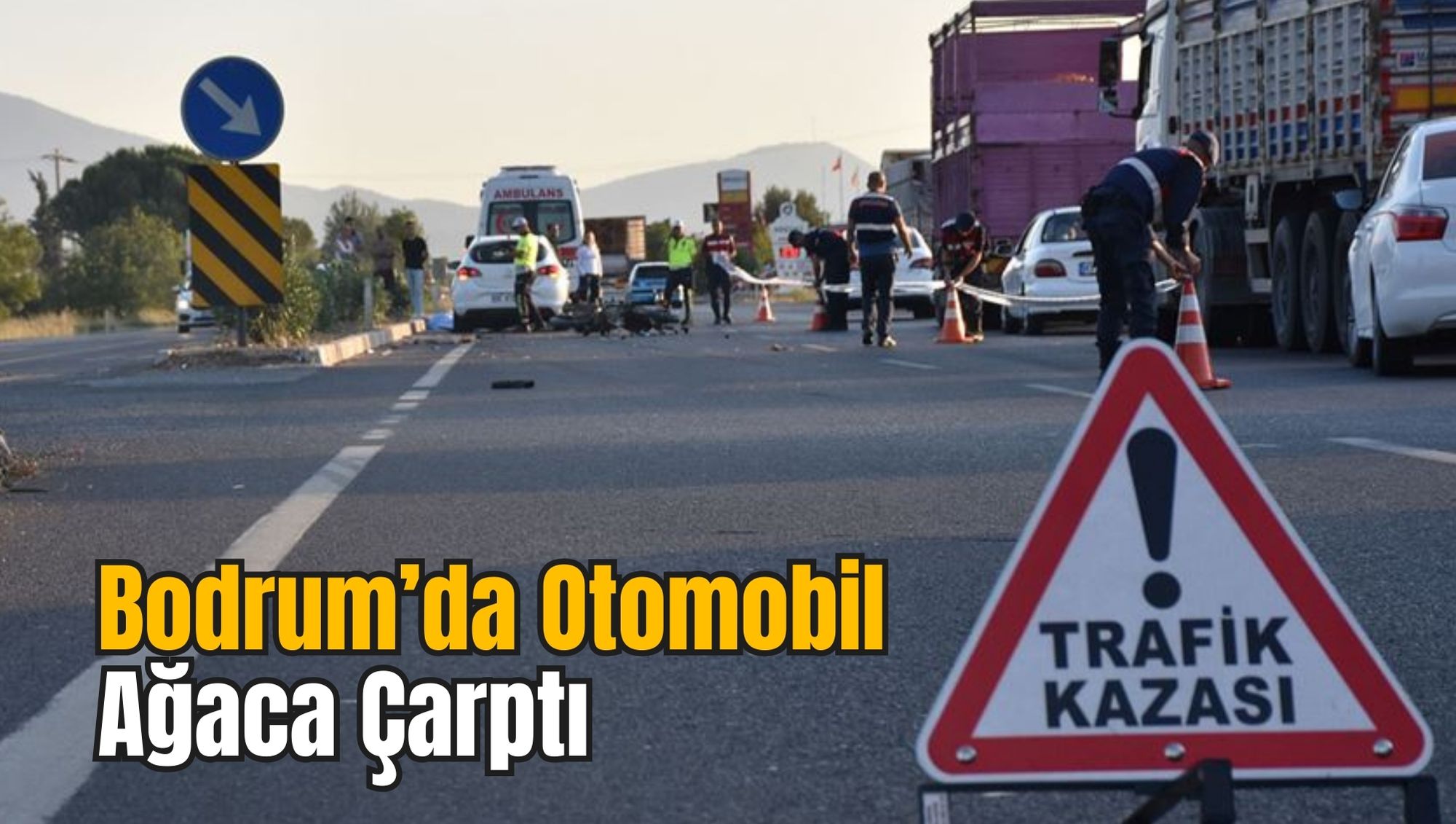 Bodrum’da Otomobil Ağaca Çarptı