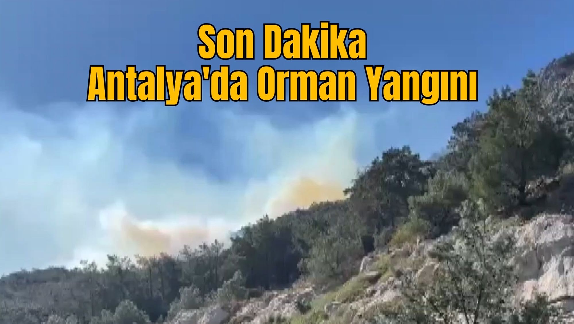 Son Dakika: Antalya'da Orman Yangını