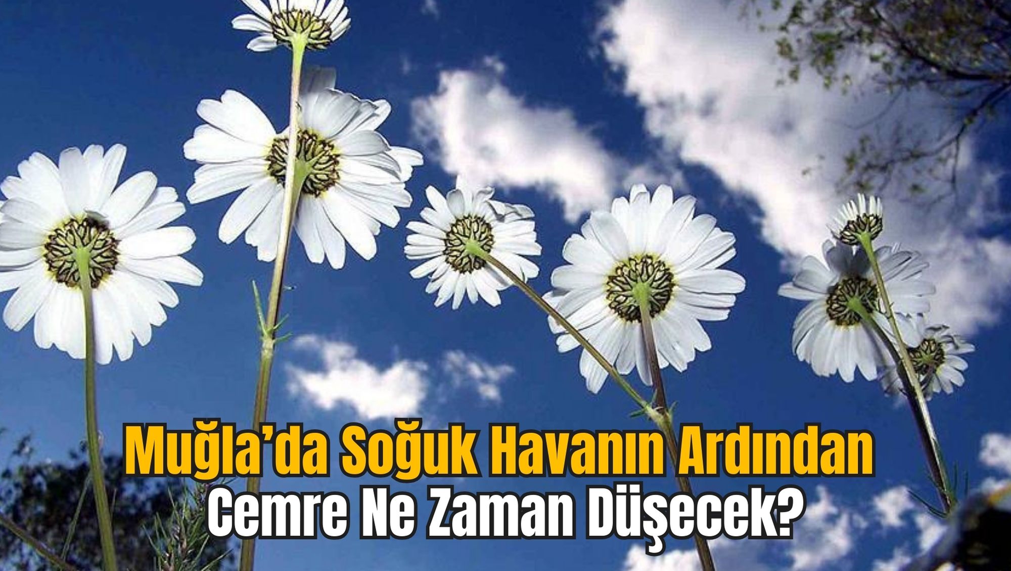 Muğla’da Soğuk Havanın Ardından Cemre Ne Zaman Düşecek?
