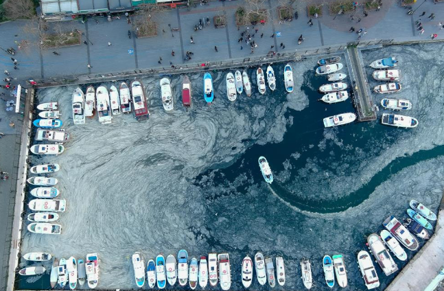 Denizlerin Kabusu 5 Yıl Sonra Geri Döndü