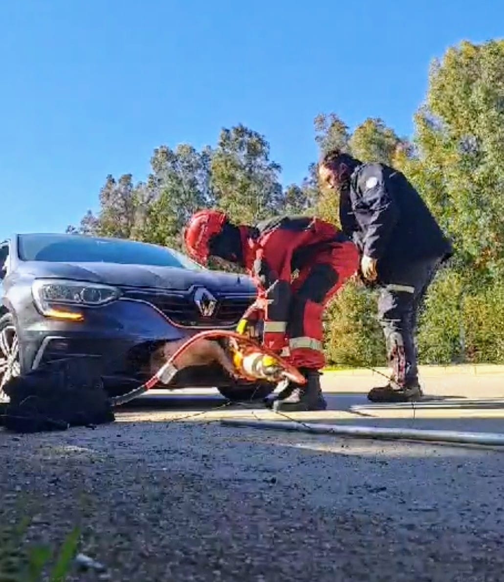 Muğla'da  Otomobilin Tamponuna Sıkışan Köpeği Kurtarmak İçin Seferber Oldular...